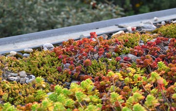 the cost of Busta green roof installation