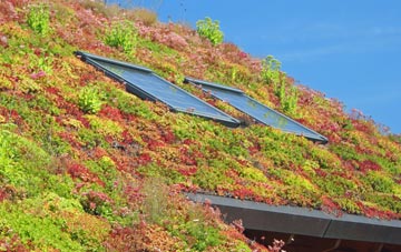 Busta living roof systems